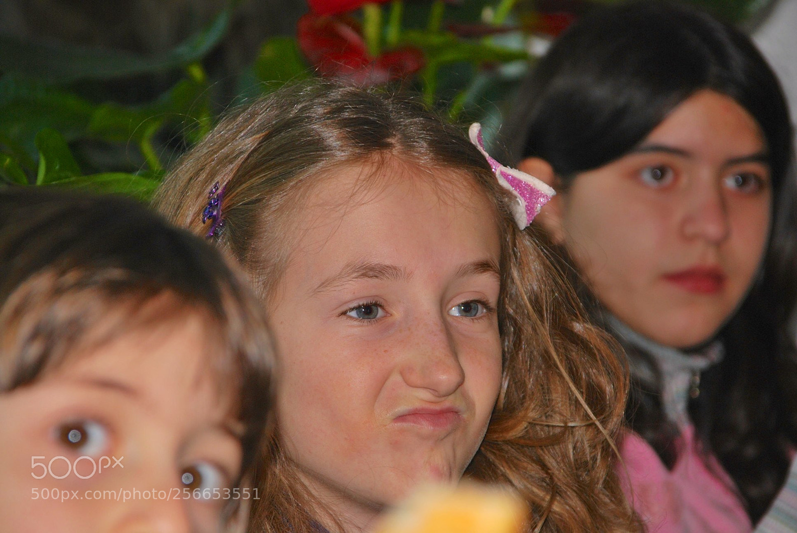 Nikon D60 sample photo. Version photography
