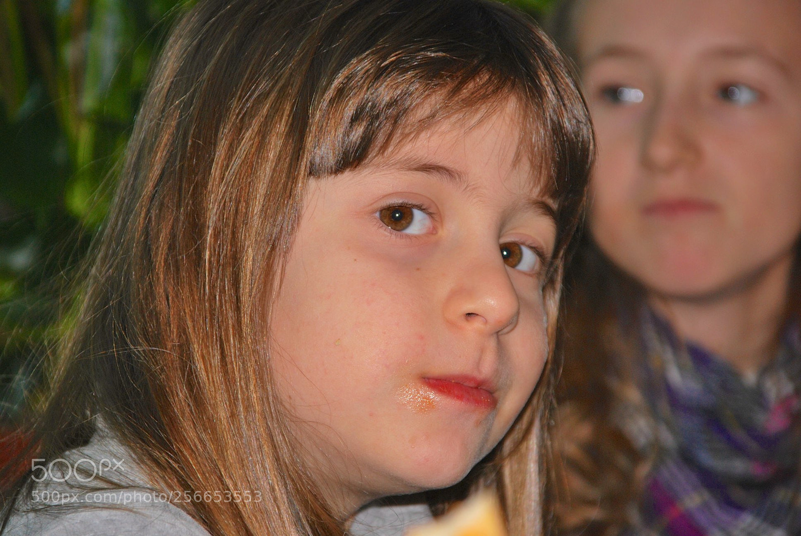 Nikon D60 sample photo. Version photography
