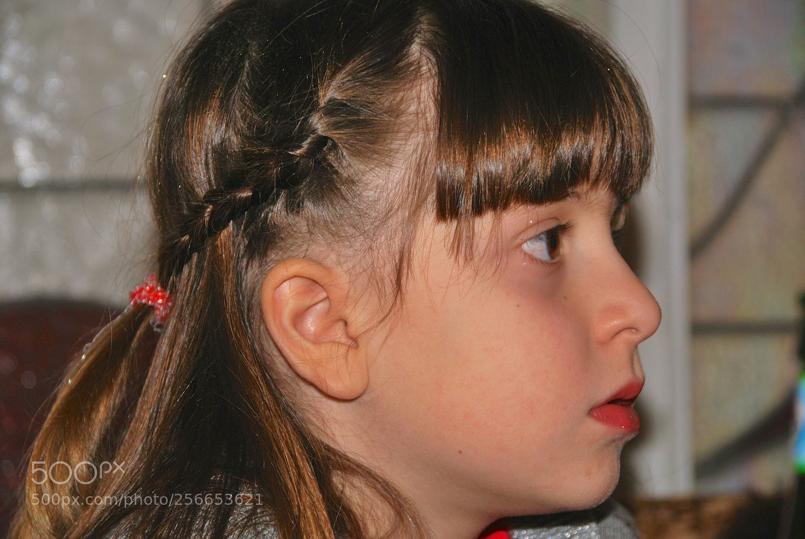 Nikon D60 sample photo. Version photography