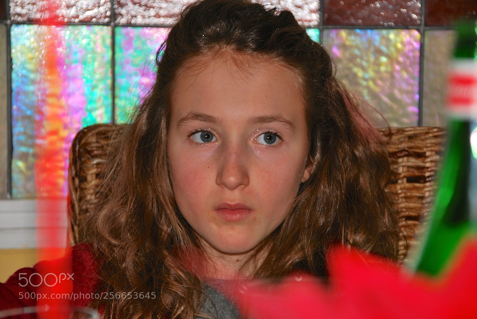 Nikon D60 sample photo. Version photography