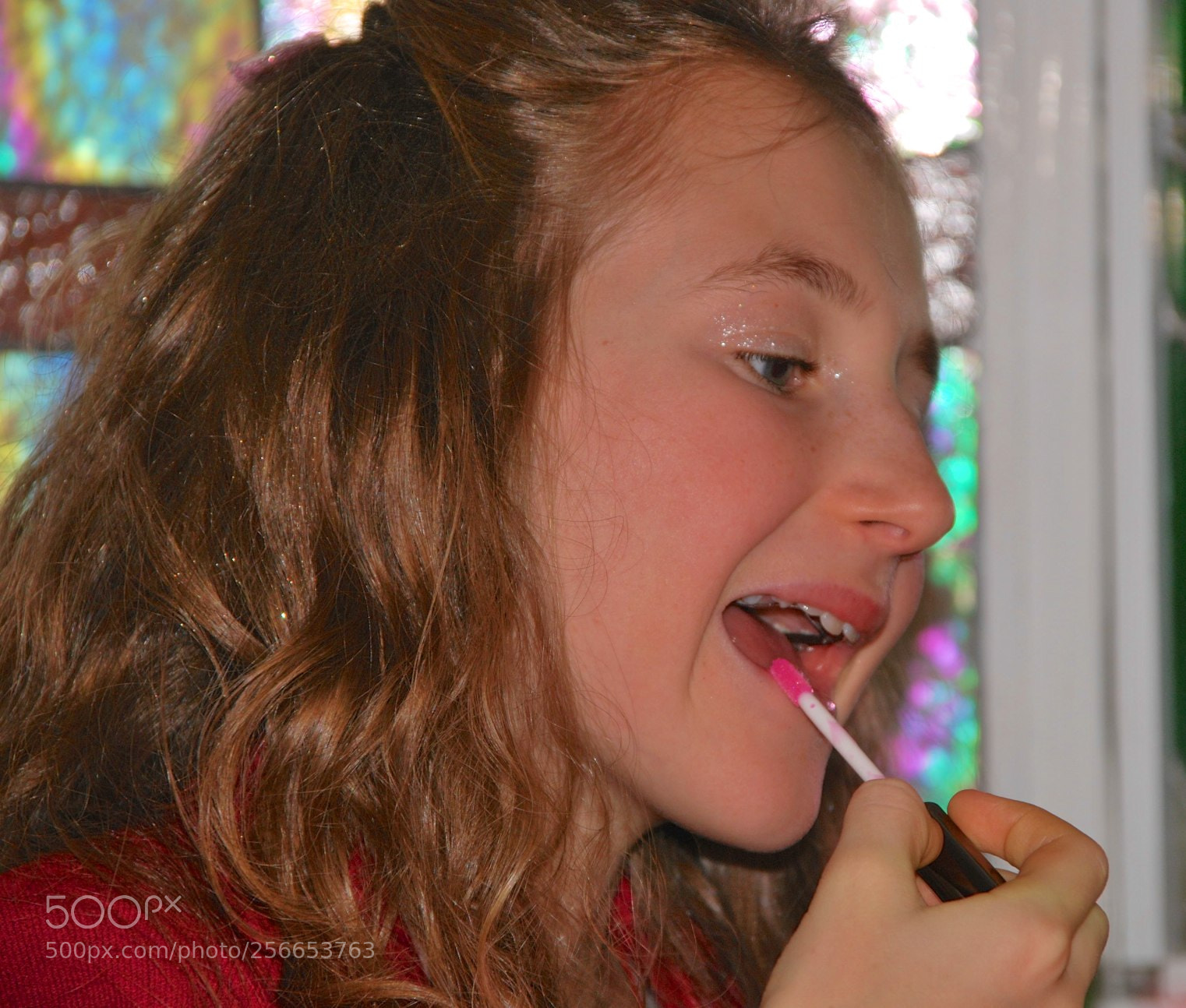 Nikon D60 sample photo. Version photography
