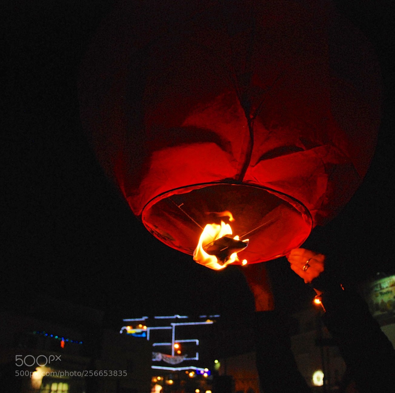 Nikon D60 sample photo. Version photography
