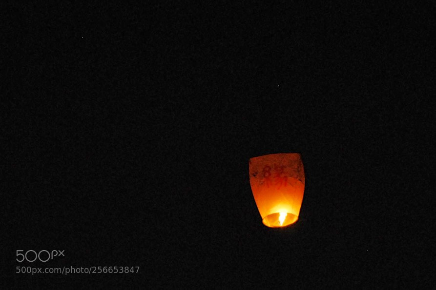 Nikon D60 sample photo. Version photography