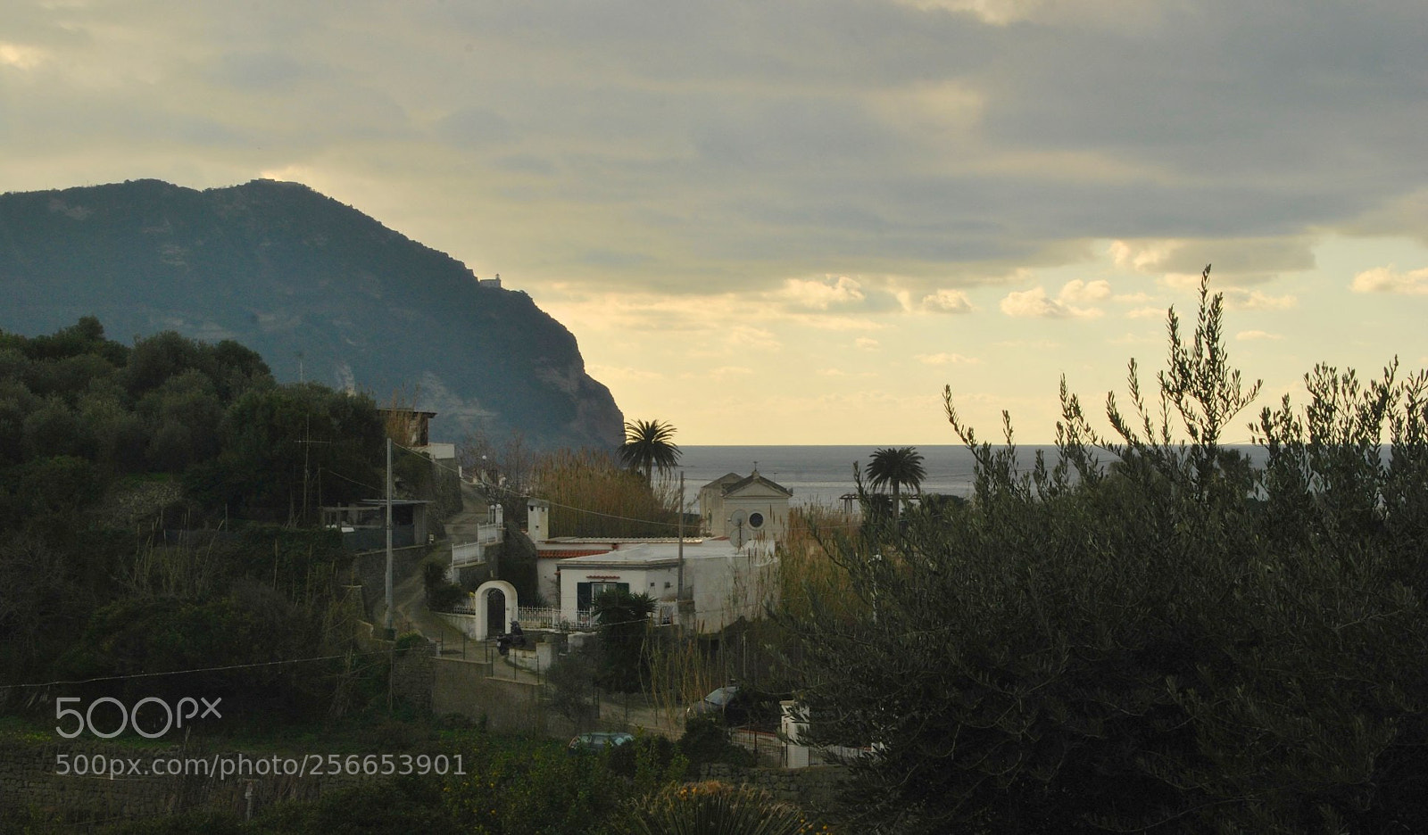 Nikon D60 sample photo. Version photography