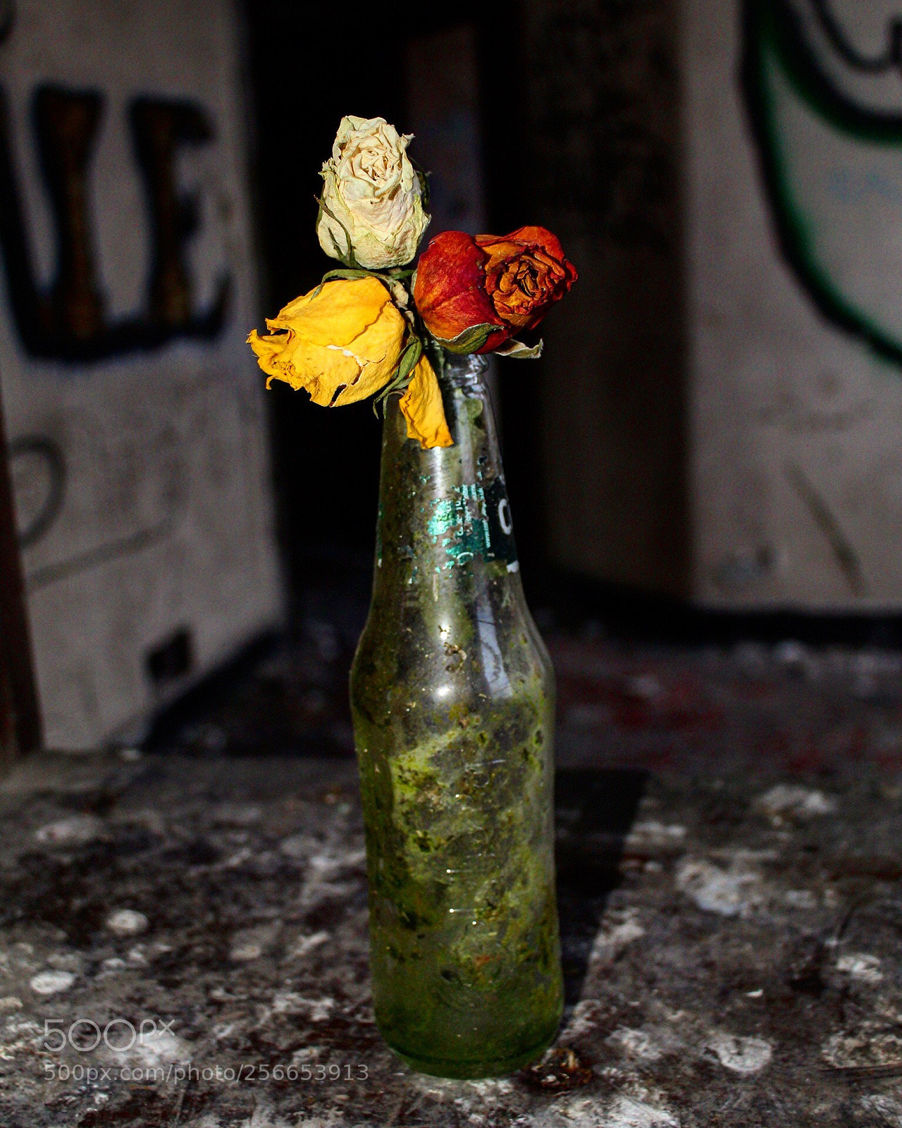 Canon EOS 1300D (EOS Rebel T6 / EOS Kiss X80) sample photo. Beauty & decay photography