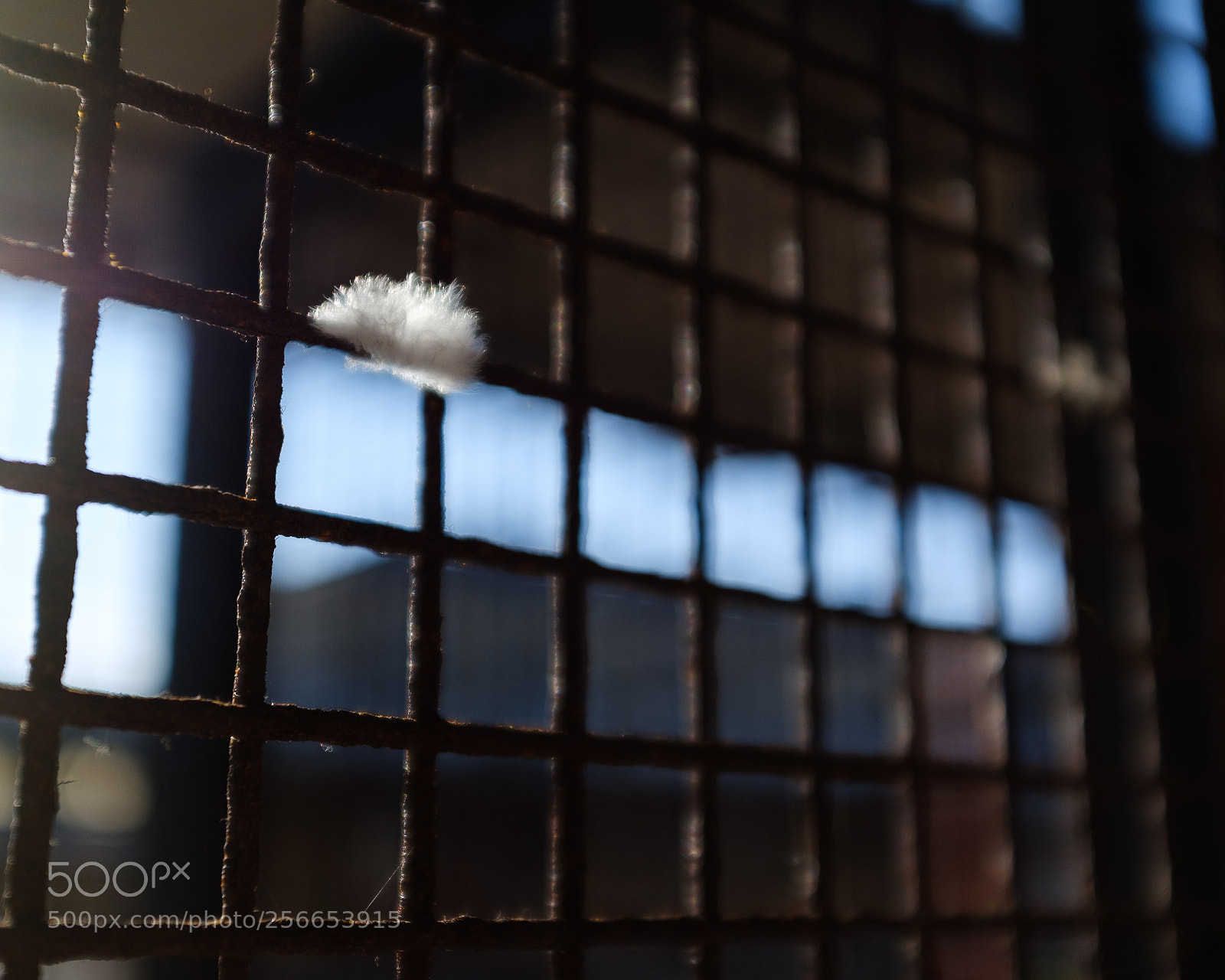 Fujifilm X100F sample photo. Manchester may 18 photography