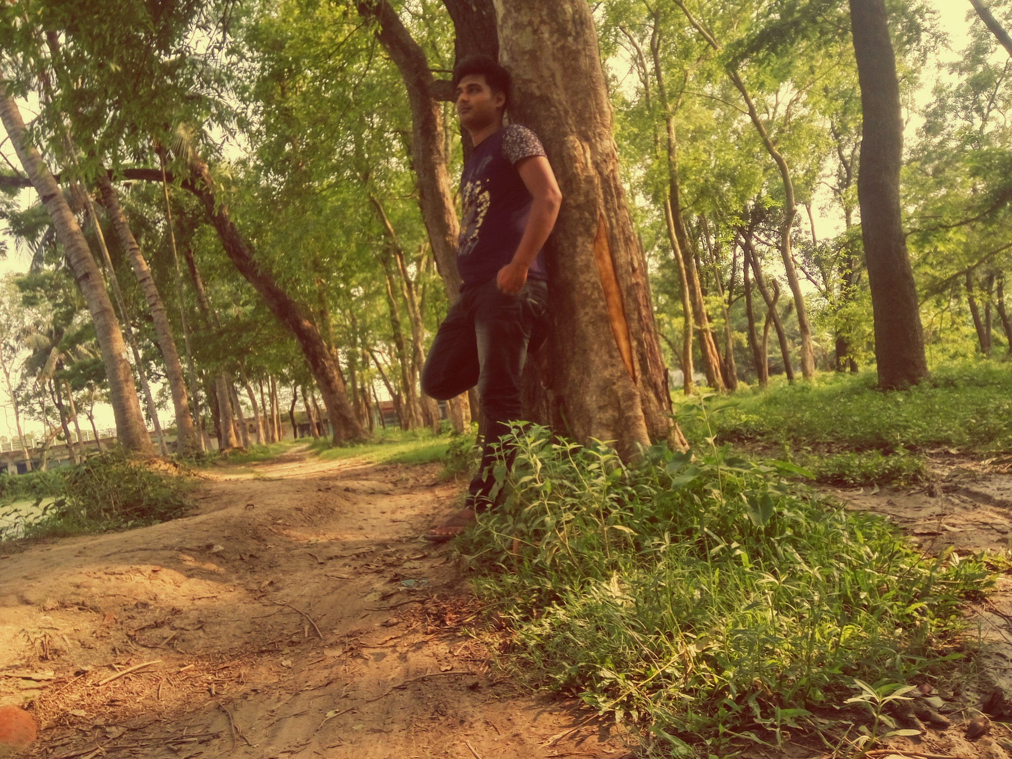 Xiaomi Redmi Note 3 sample photo. Rajshahi university photography