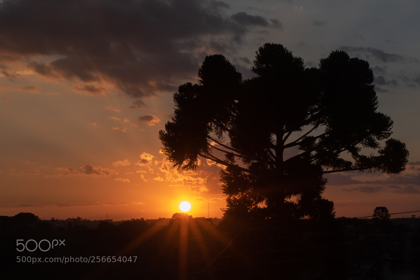 Nikon D5600 sample photo. Por do sol e photography
