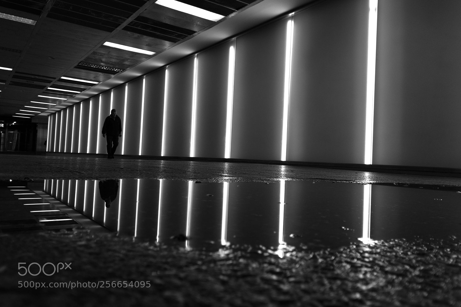 Nikon D7200 sample photo. Inside the circuit photography
