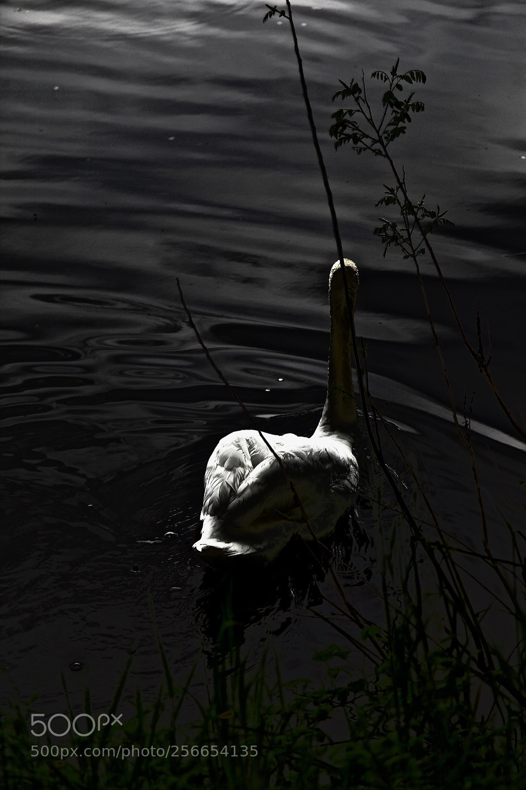 Canon EOS 5D Mark II sample photo. Untitled photography
