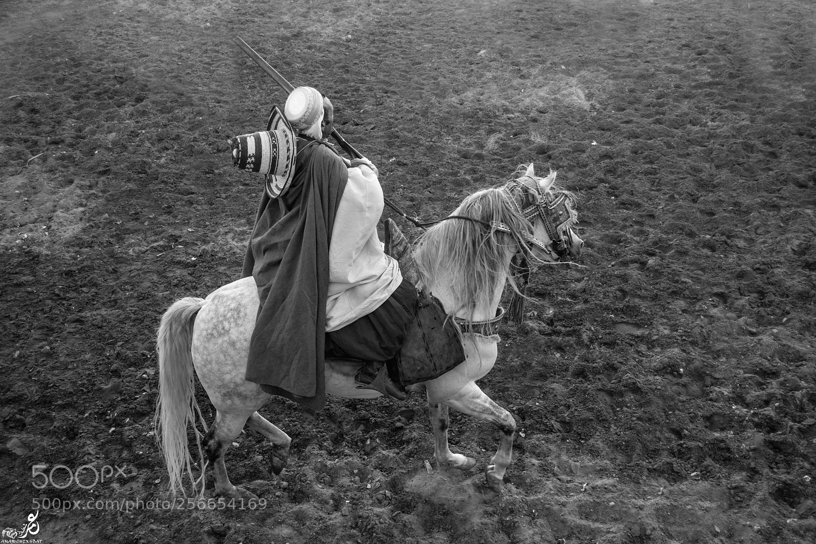 Nikon D5200 sample photo. Fantazia algeria photography