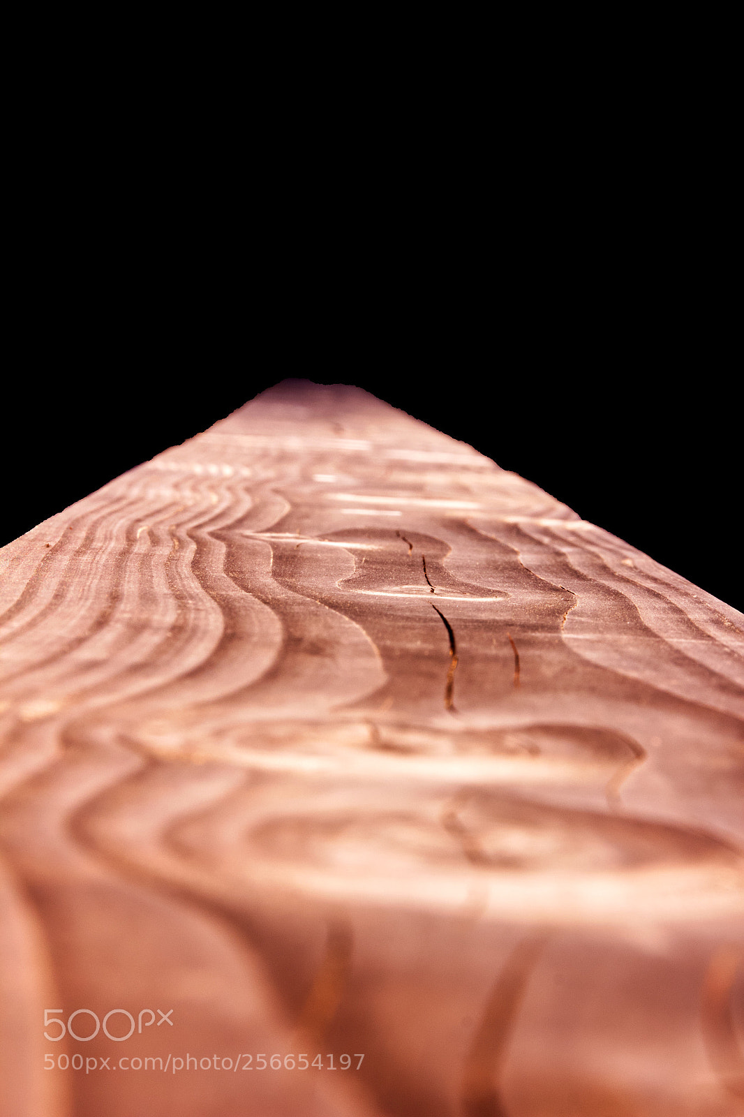 Canon EOS 550D (EOS Rebel T2i / EOS Kiss X4) sample photo. Wood photography