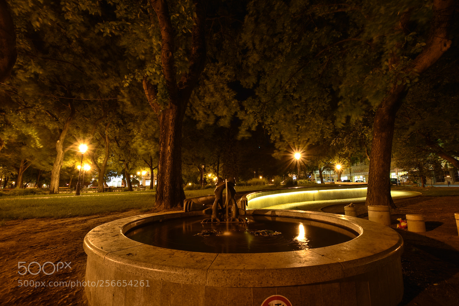 Nikon D7200 sample photo. Untitled photography