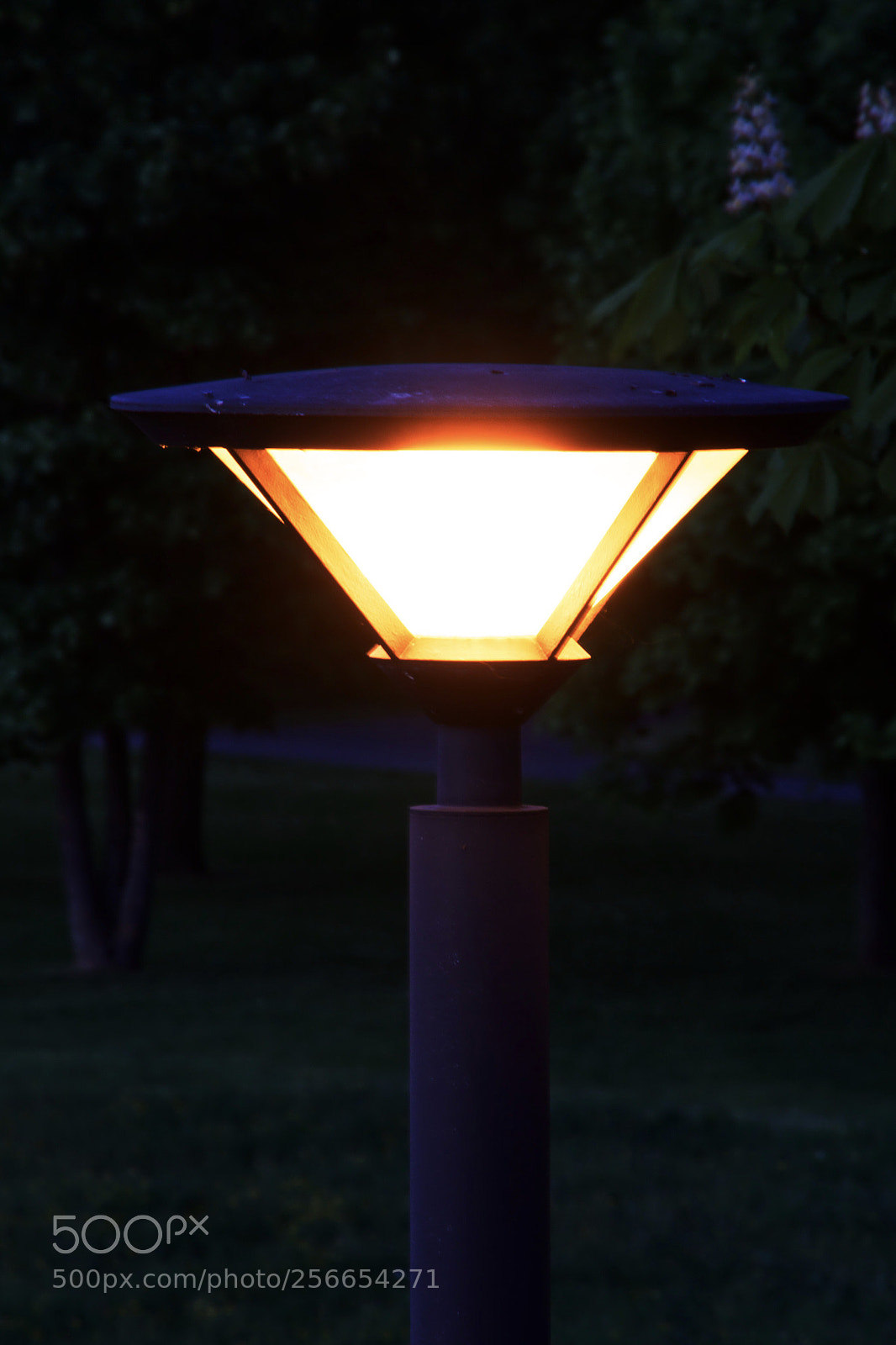Canon EOS 550D (EOS Rebel T2i / EOS Kiss X4) sample photo. Lampe  photography