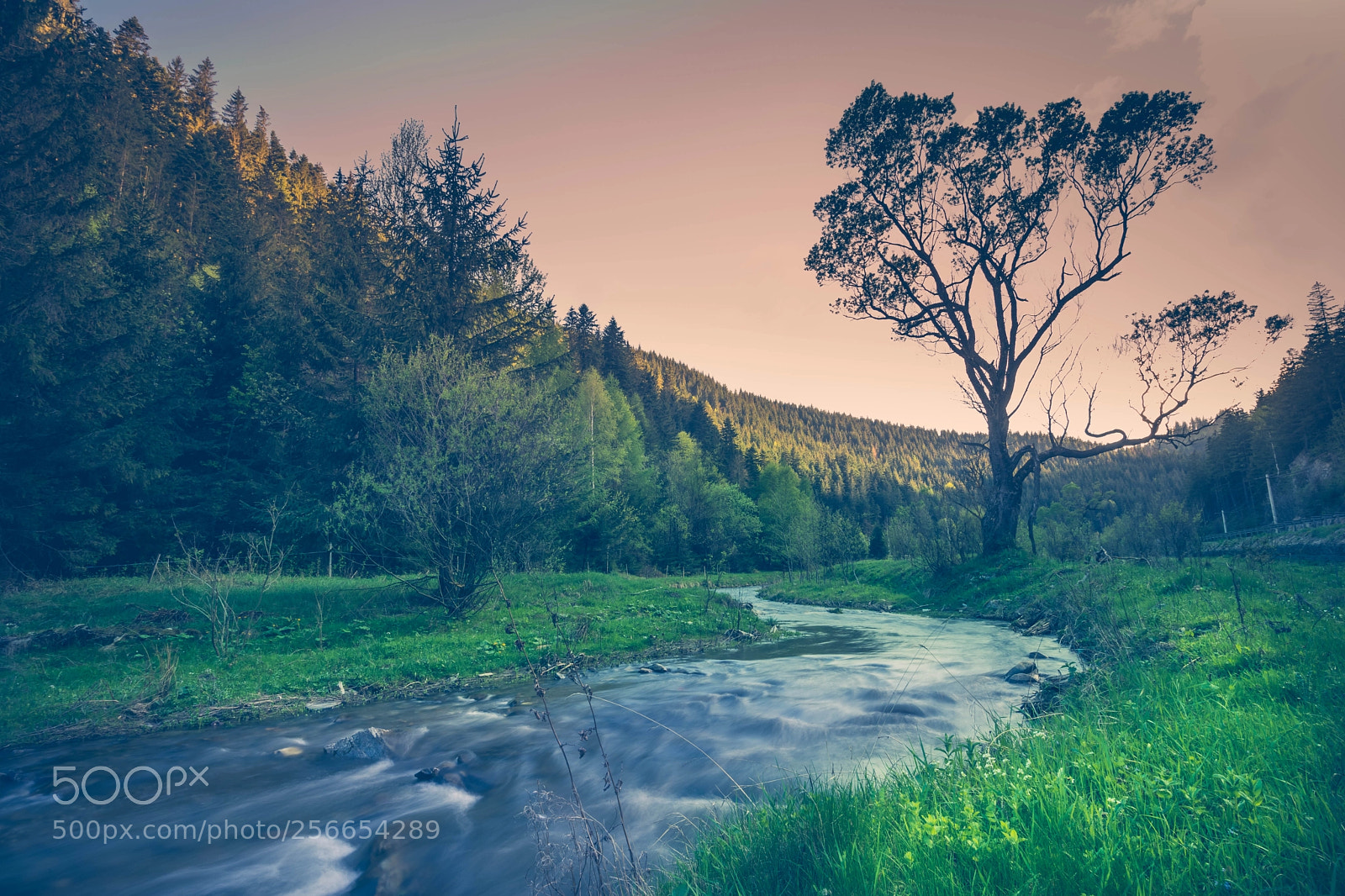 Sony a7 II sample photo. River photography