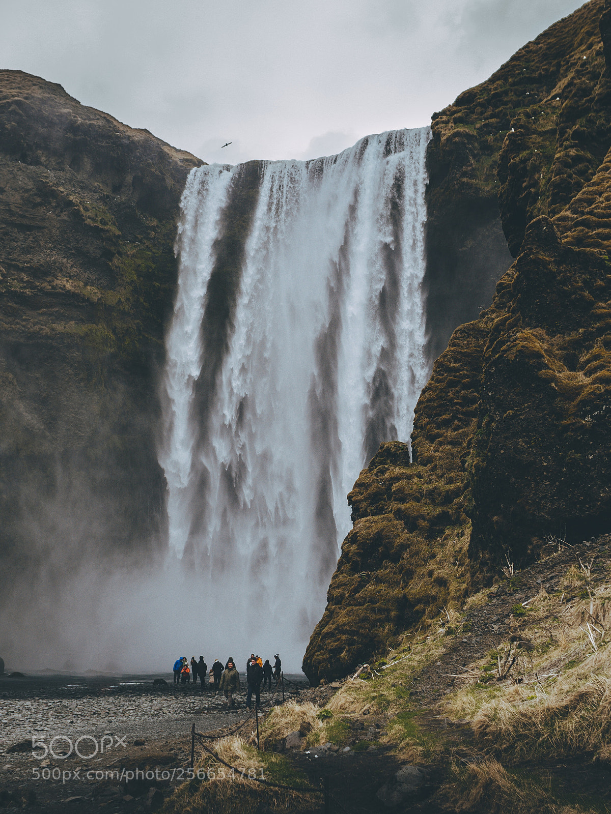 Panasonic Lumix DC-GH5 sample photo. Skogafoss photography