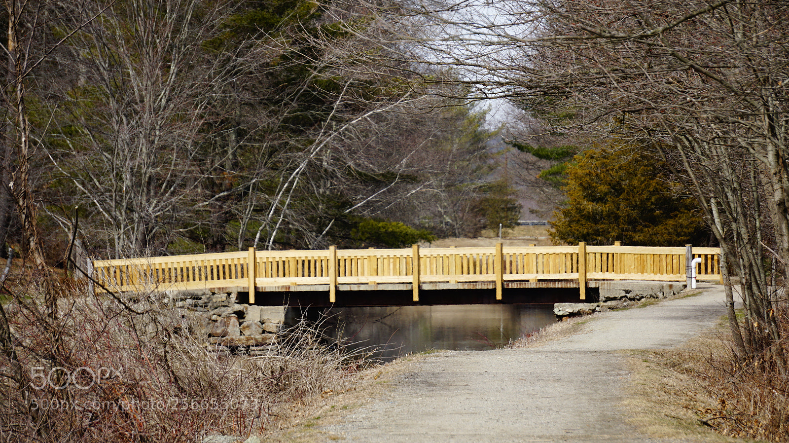 Sony a6000 sample photo. Dsc photography