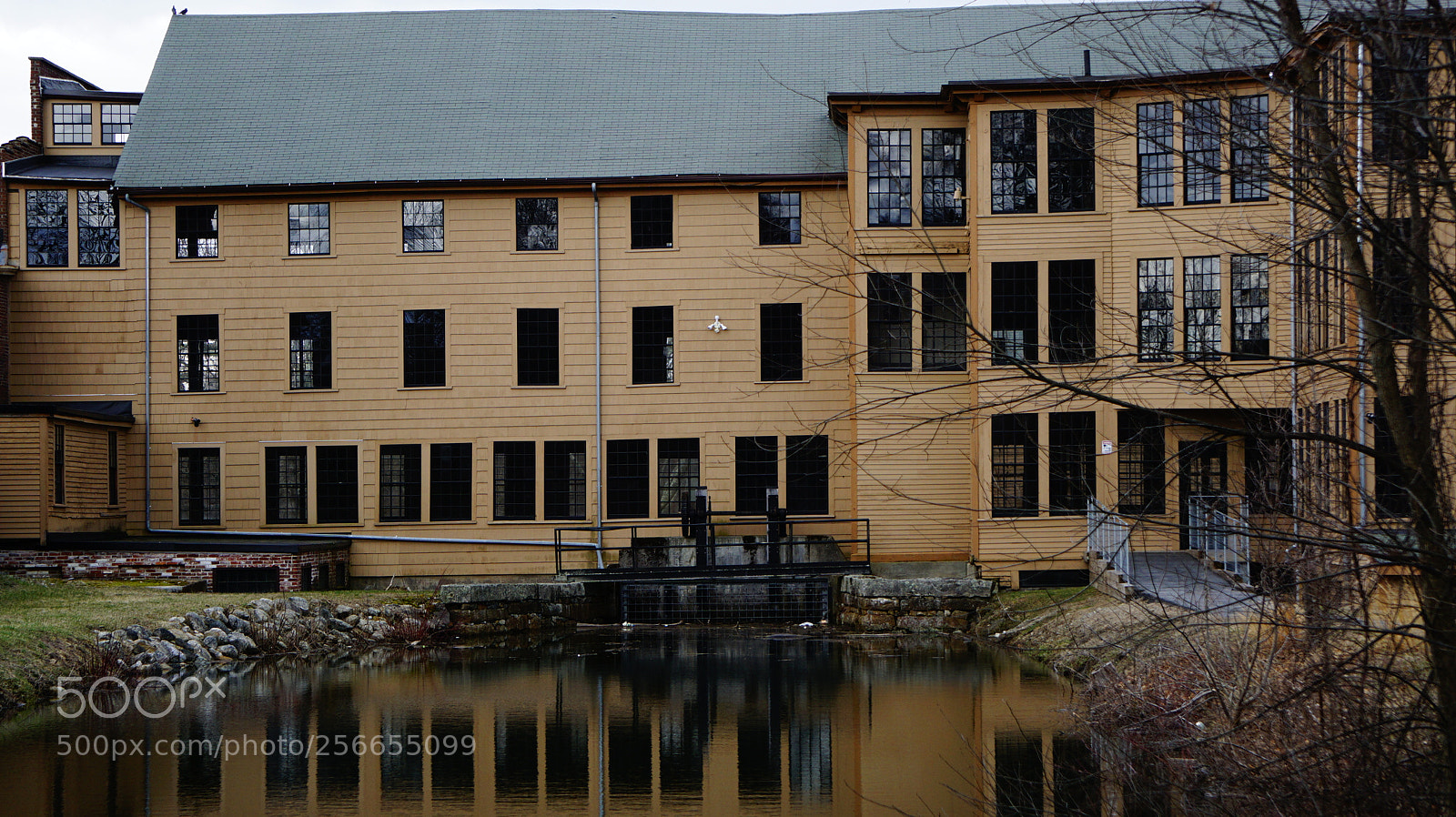Sony a6000 sample photo. Dsc photography