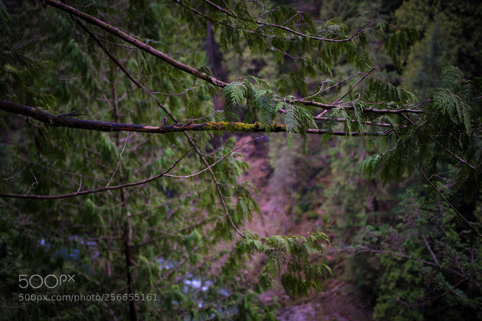Sony a6300 sample photo. Nature photography