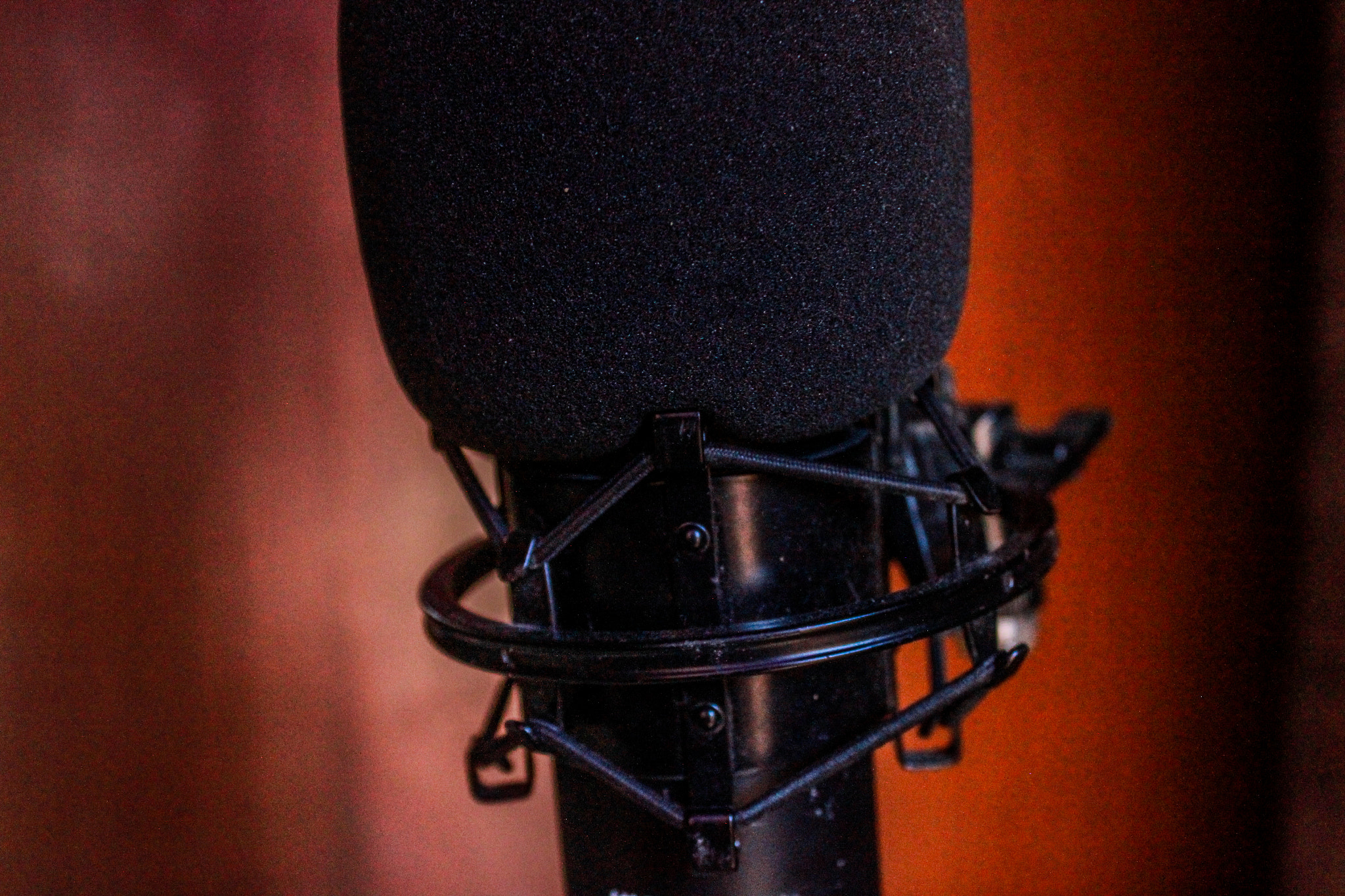 Canon EOS 500D (EOS Rebel T1i / EOS Kiss X3) sample photo. Microphone photography