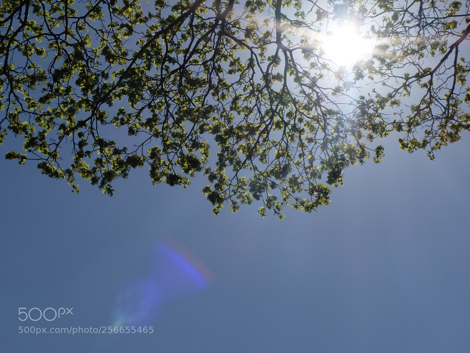 Fujifilm X30 sample photo. Untitled photography