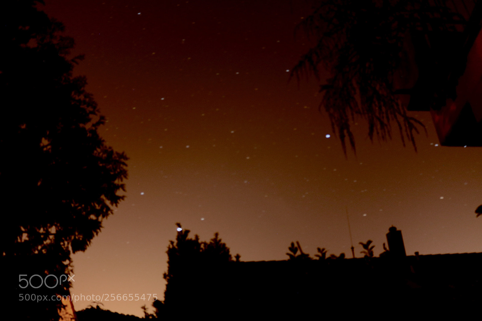 Canon EOS 750D (EOS Rebel T6i / EOS Kiss X8i) sample photo. Sleeping beauty  photography