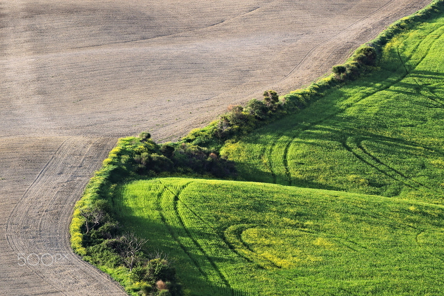 Canon EOS 600D (Rebel EOS T3i / EOS Kiss X5) + Tamron SP 35mm F1.8 Di VC USD sample photo. Tuscan countryside 3 photography