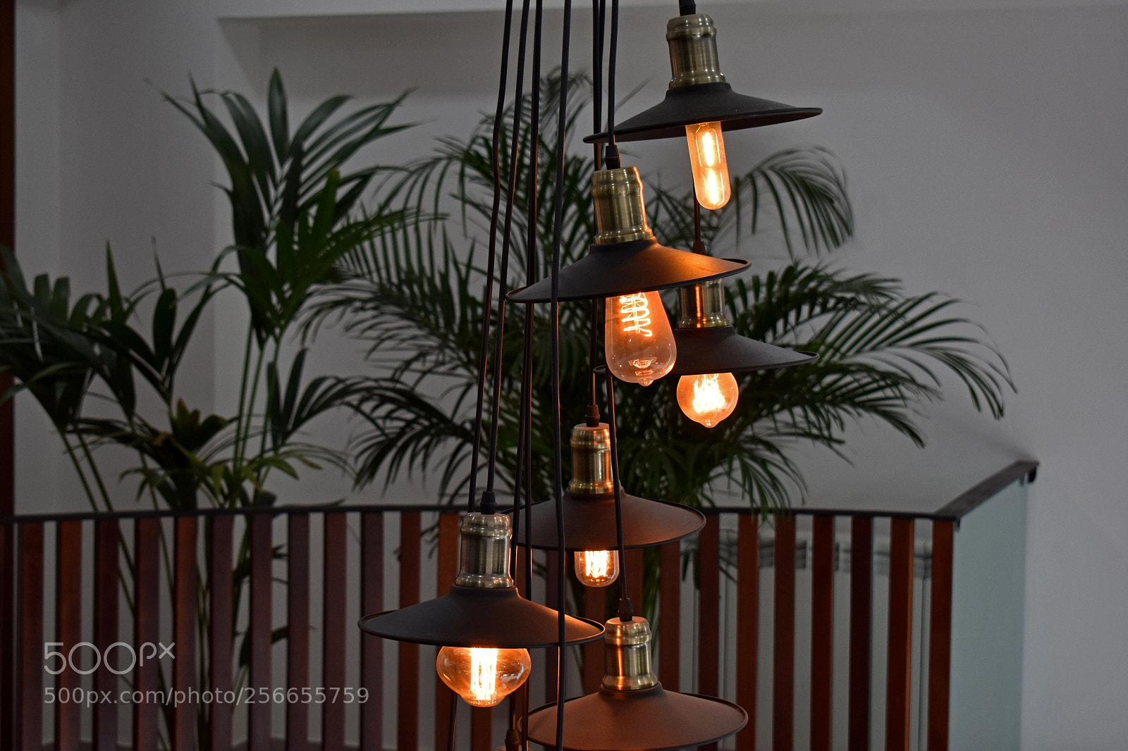 Nikon D3400 sample photo. Look aasthetics photography