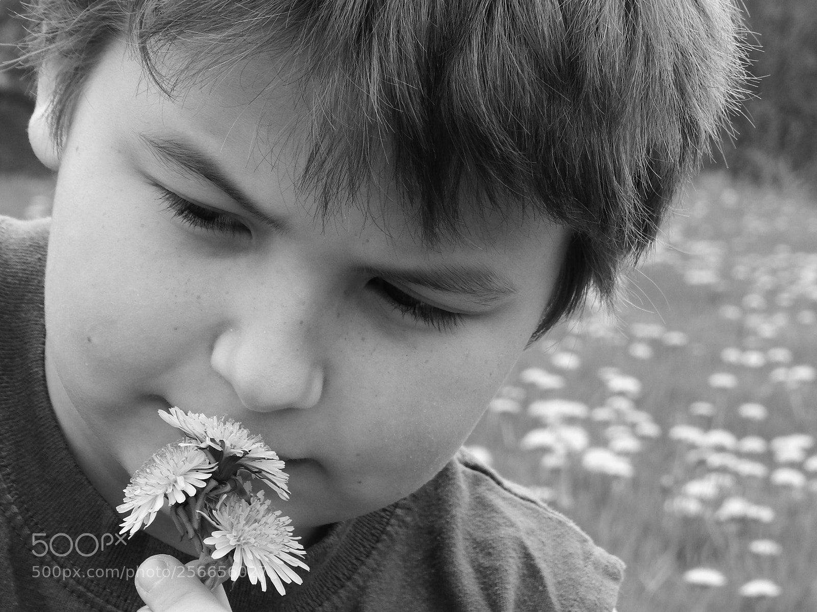 Nikon Coolpix L820 sample photo. His freckles only appear photography