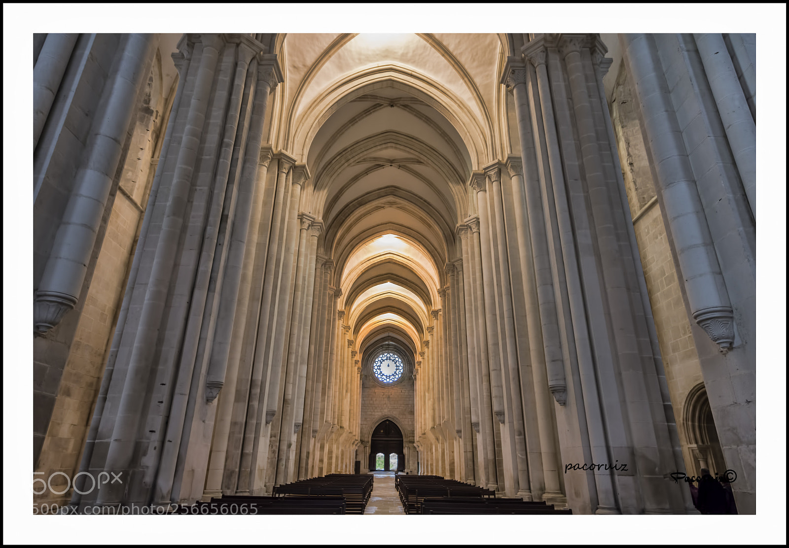 Nikon D7200 sample photo. Untitled photography