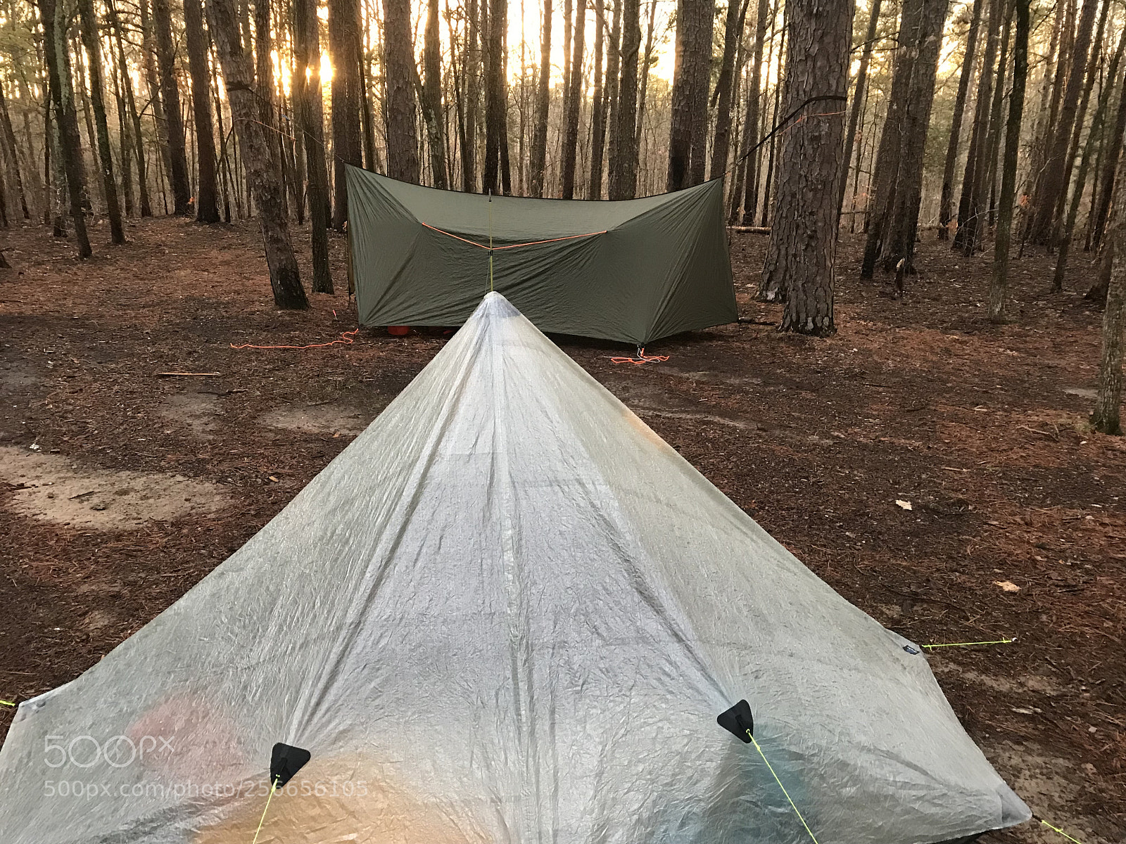 Apple iPhone 7 sample photo. Sunset in the woods photography
