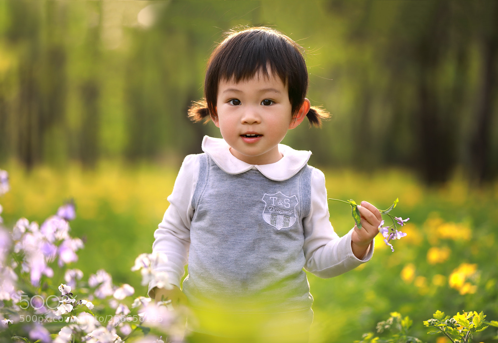 Canon EOS 5D Mark IV sample photo. 小黄花 photography