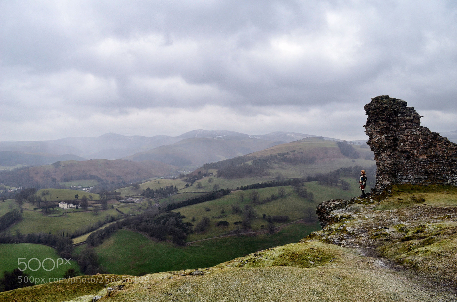 Nikon D5100 sample photo. Atop dinas bran photography