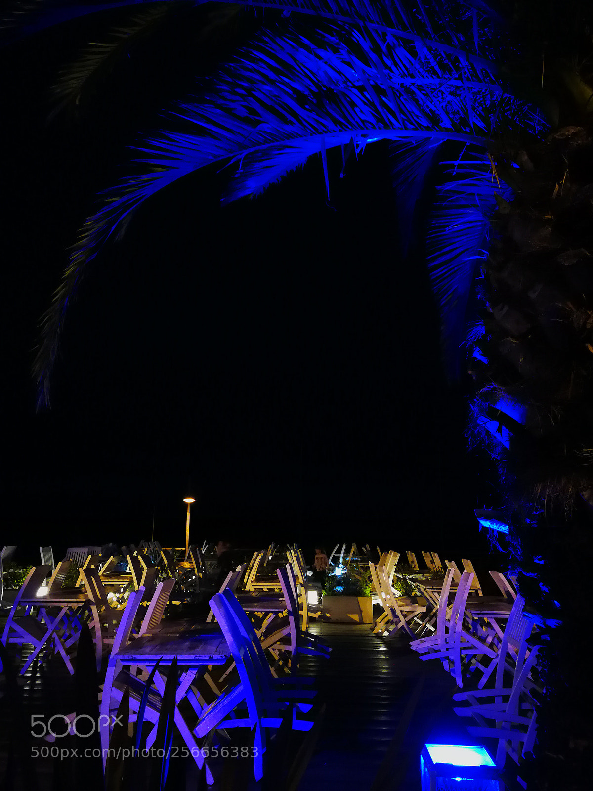 HUAWEI Mate 9 sample photo. Flora bar, rosario photography