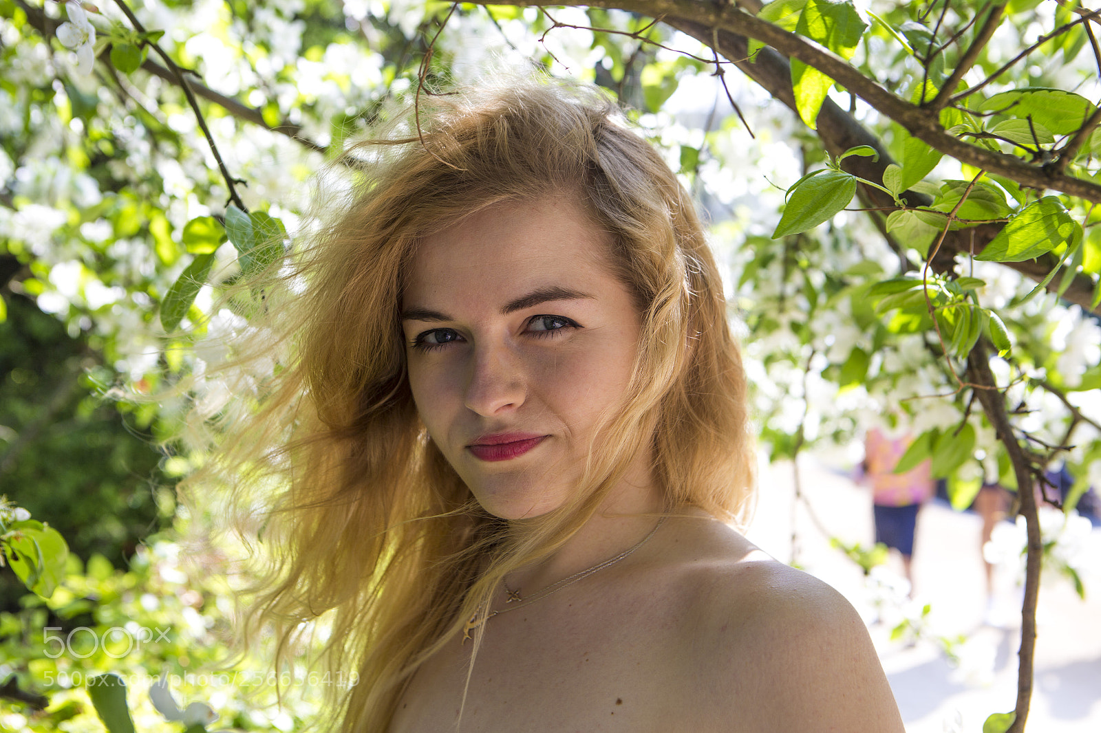 Canon EOS 6D sample photo. Img photography
