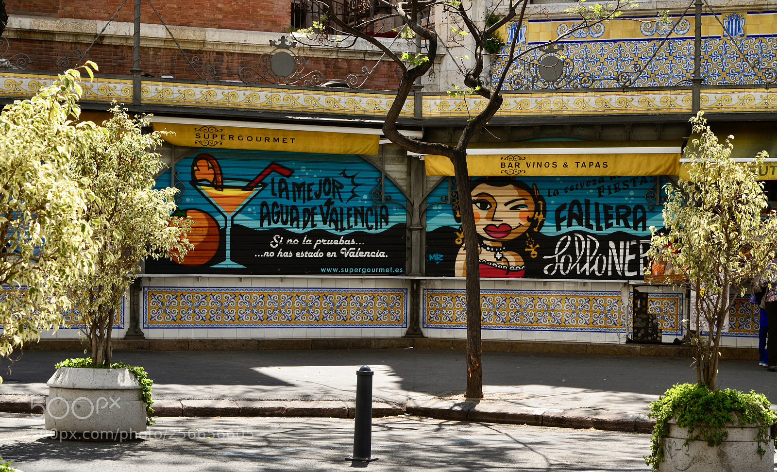 Nikon D610 sample photo. Central market i photography