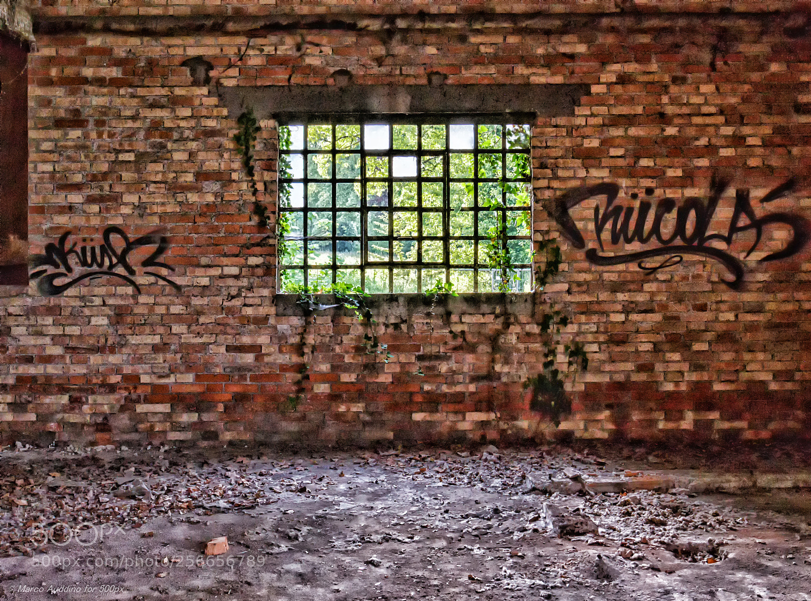 Canon EOS 70D sample photo. Window photography