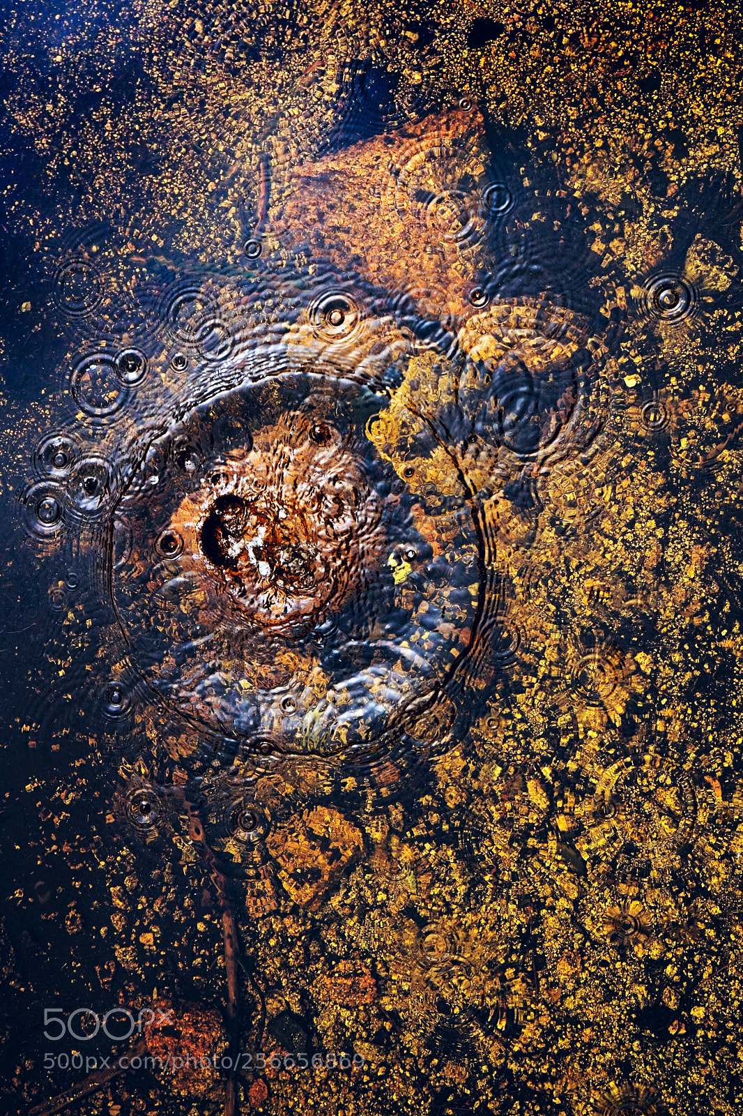 Sony a6300 sample photo. Circles on the water. photography