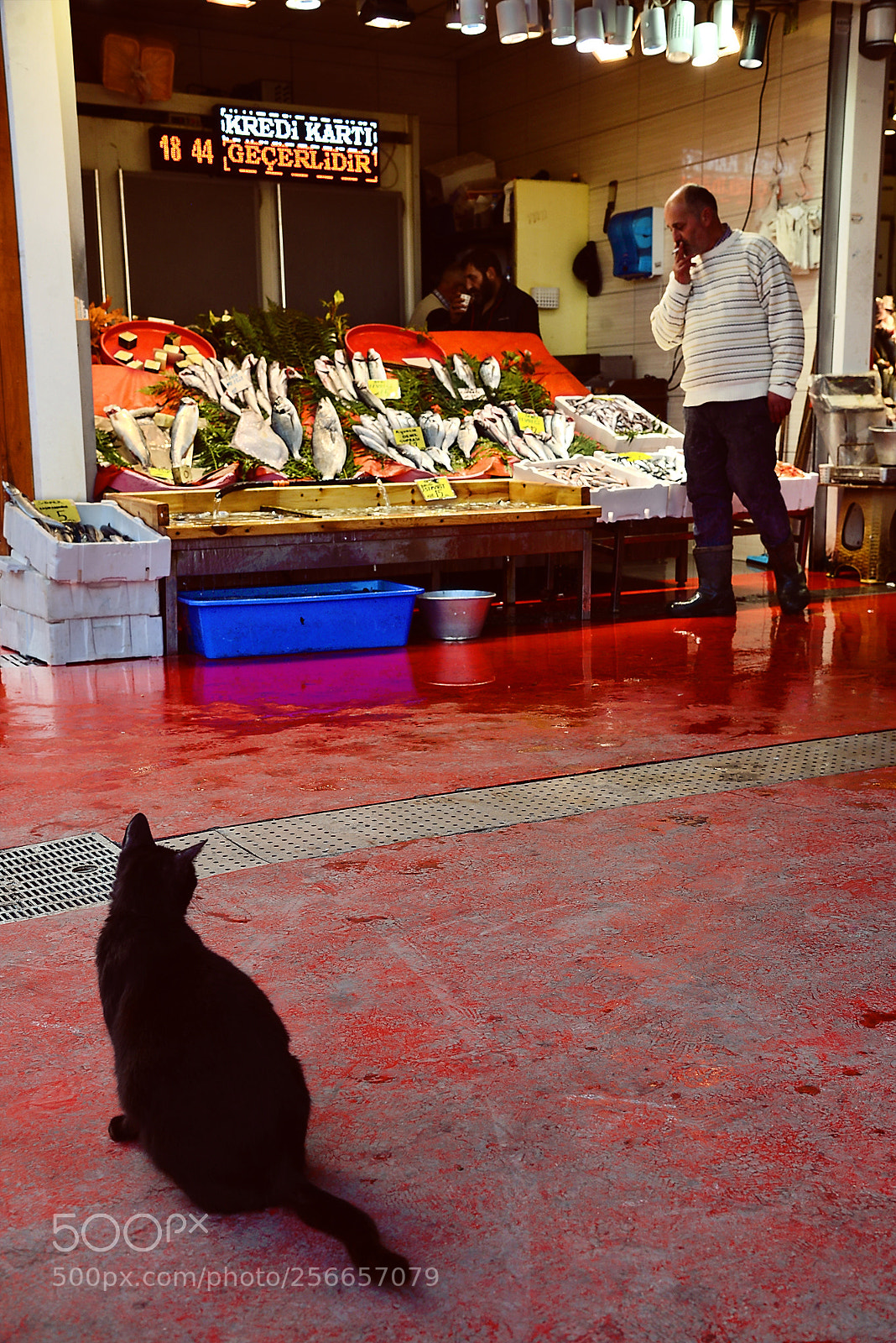 Nikon D600 sample photo. Untitled photography