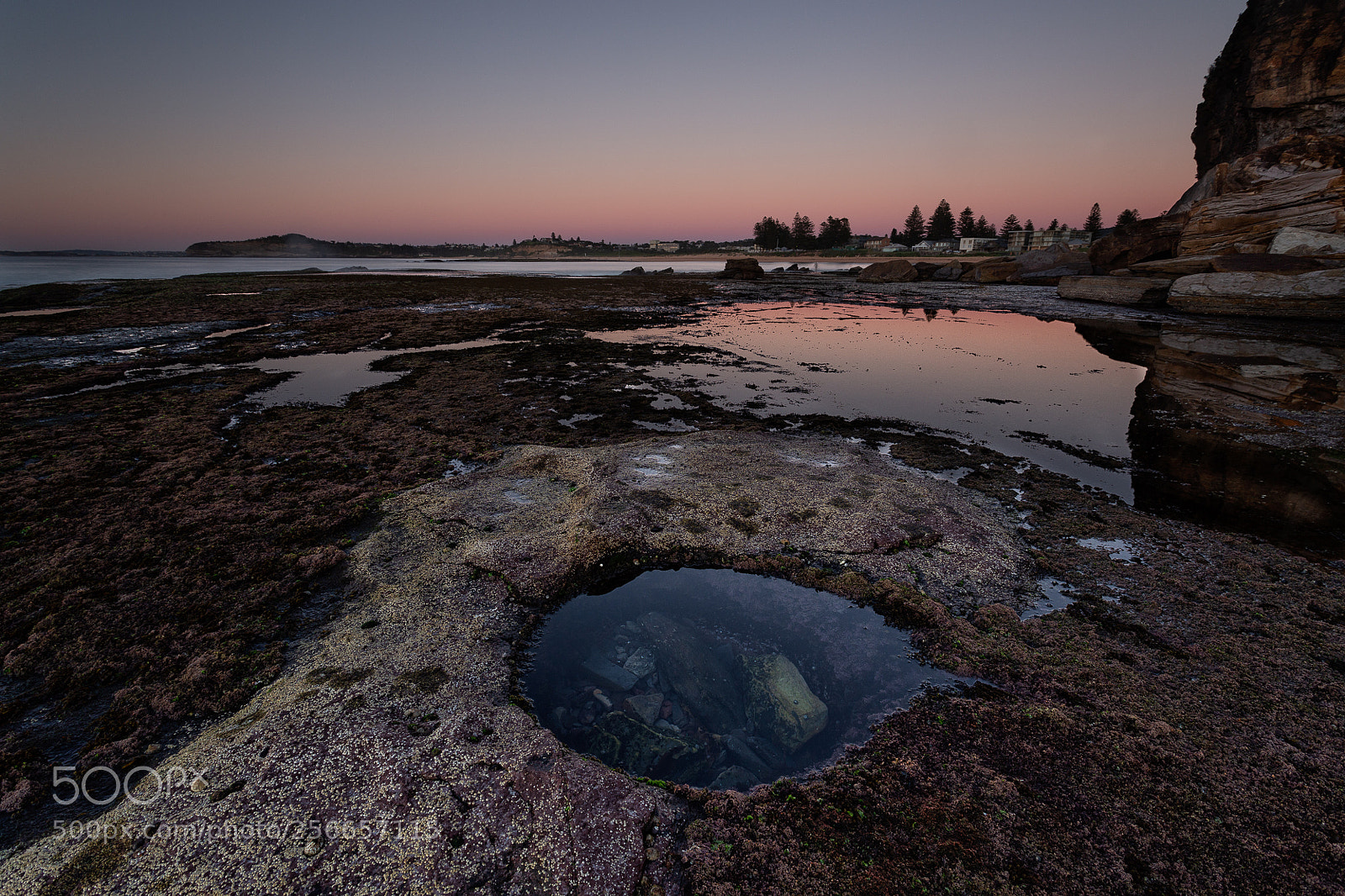 Canon EOS 6D sample photo. Mona vale headland sunrise photography