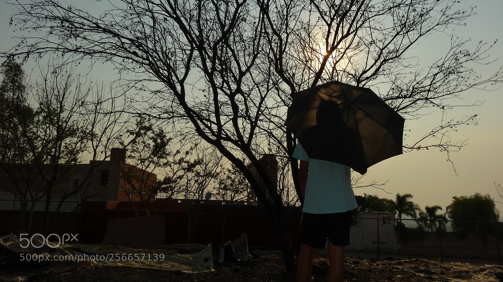 Sony Cyber-shot DSC-HX20V sample photo. Tenchus photography