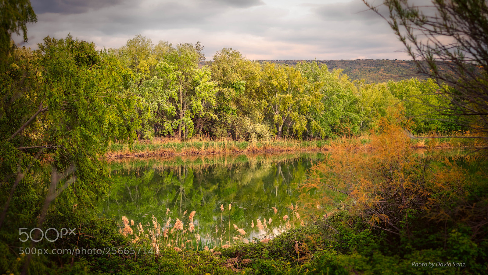 Canon EOS 80D sample photo. Secret place photography