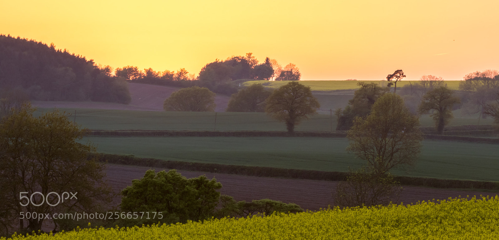 Canon EOS 80D sample photo. Sunset zigzags photography