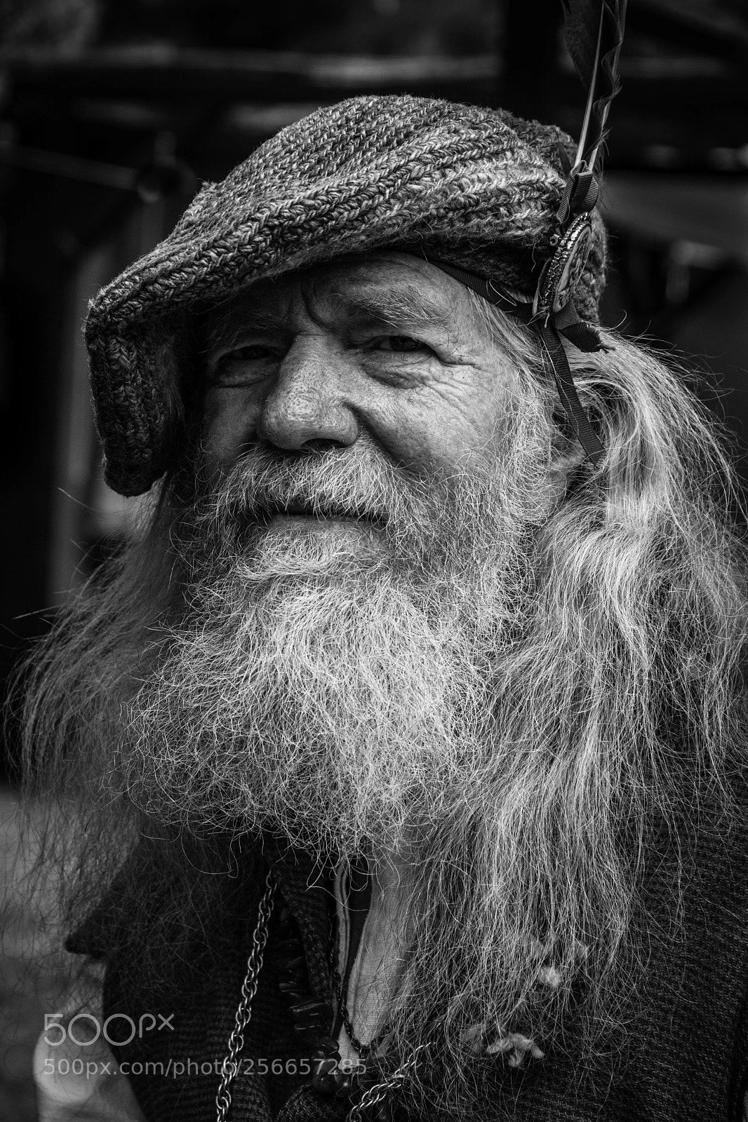 Nikon D500 sample photo. Renfaire portrait 1 photography