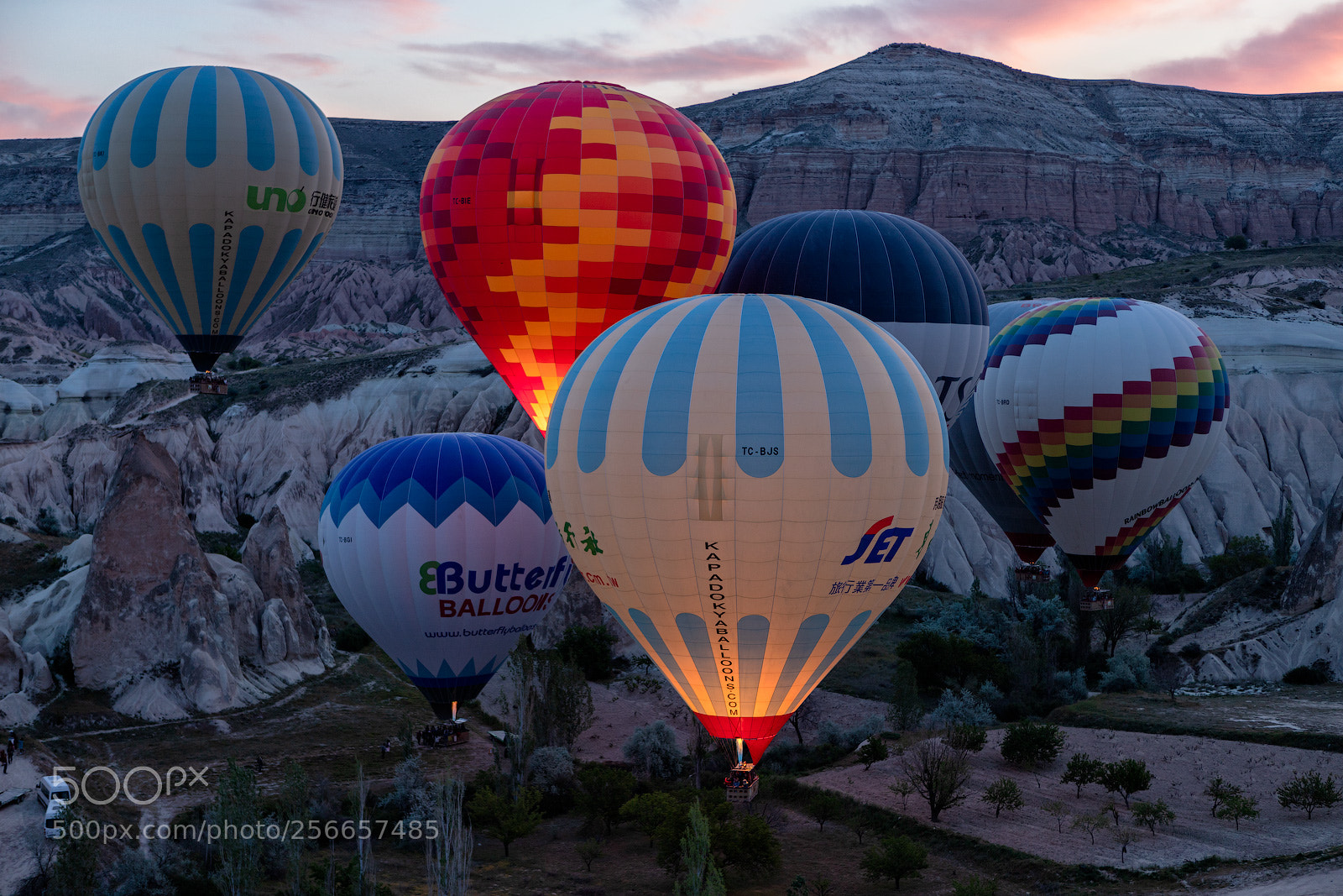 Canon EOS 6D Mark II sample photo. Flying away off the photography