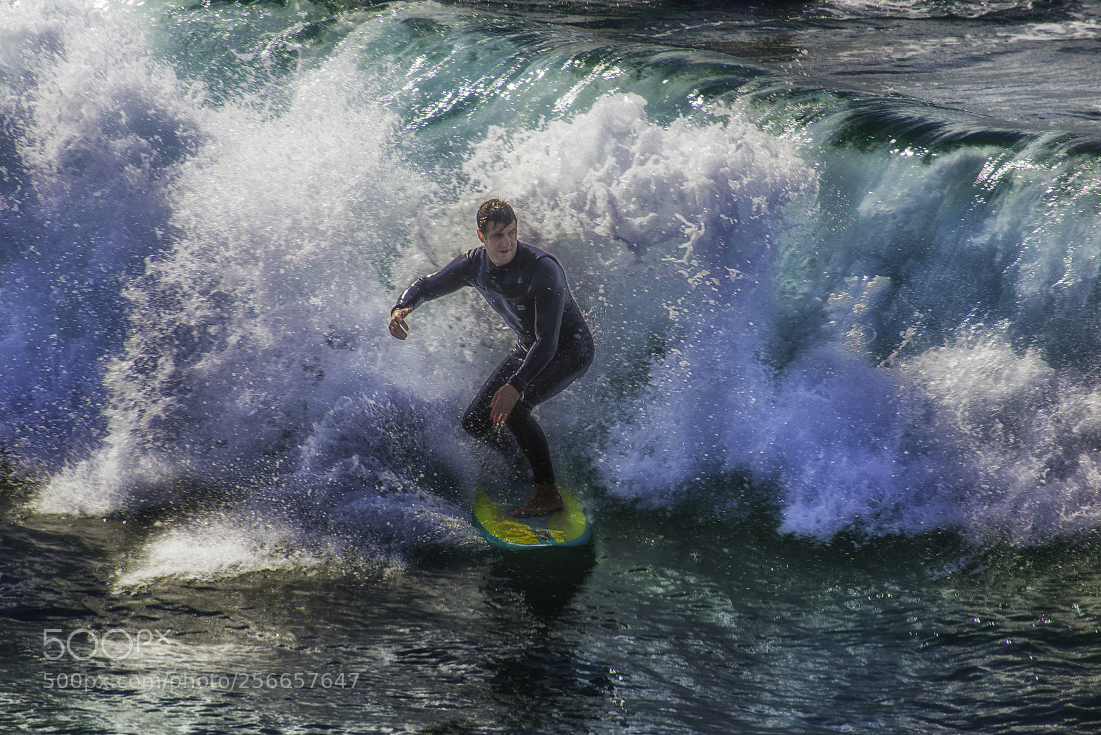 Nikon D800 sample photo. Another day at the photography