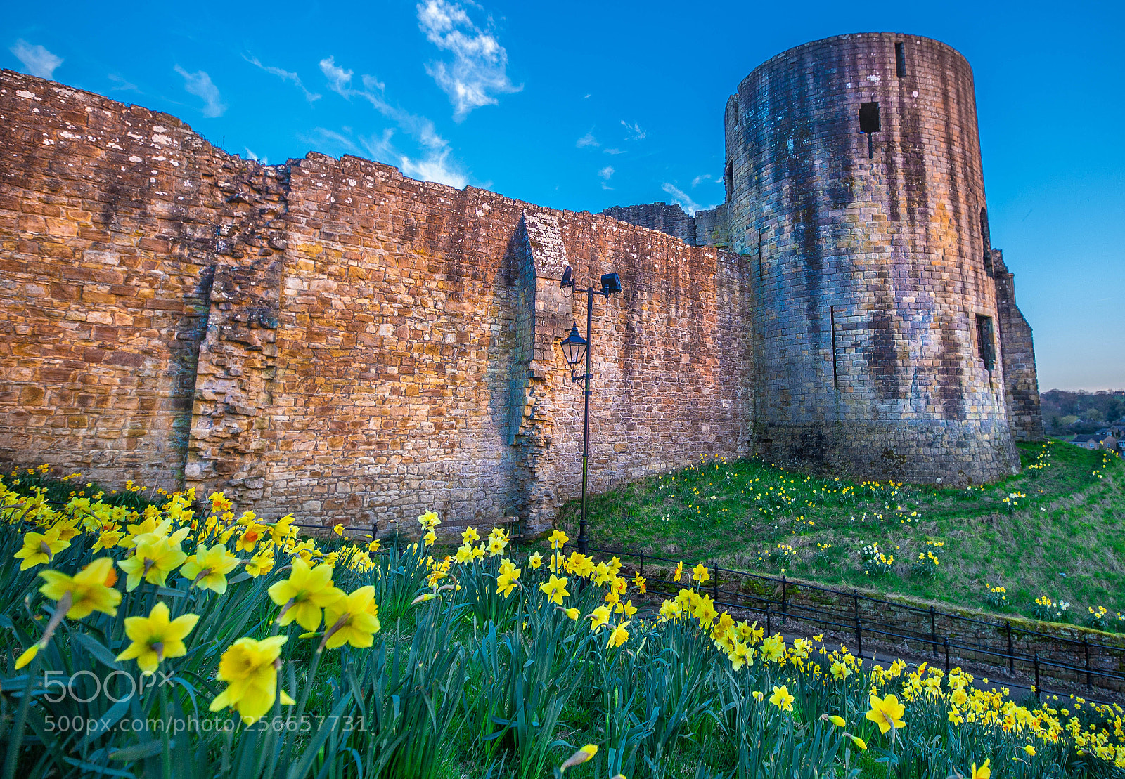Canon EOS 6D sample photo. Castle and daffodils photography