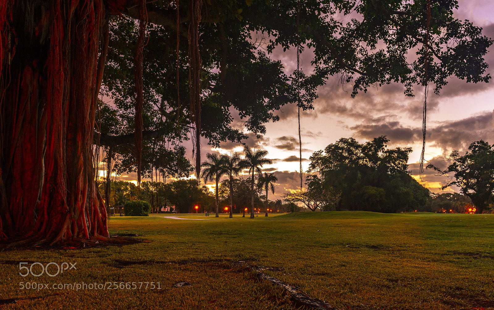 Nikon D850 sample photo. Granada golf course photography