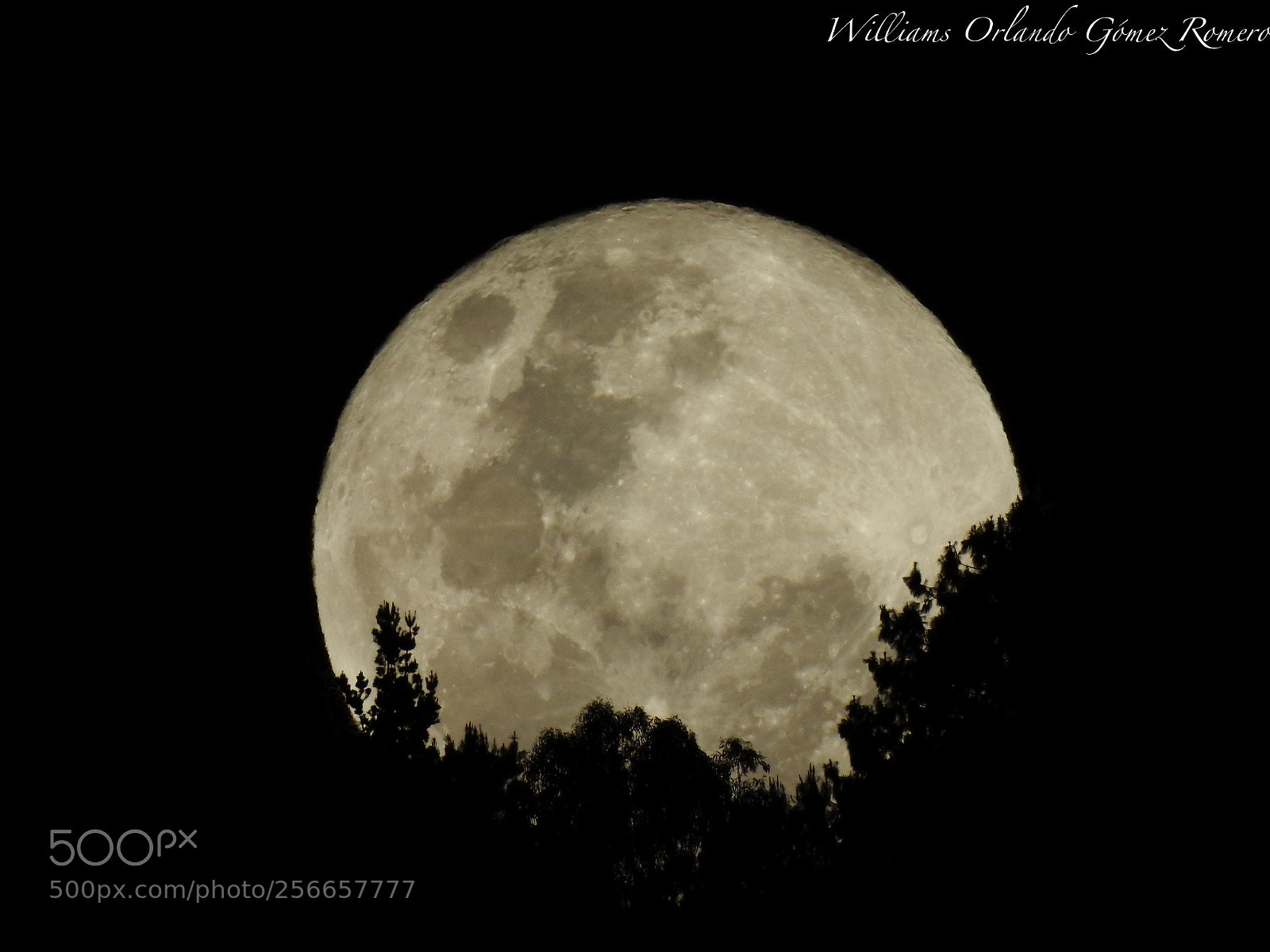 Nikon Coolpix P900 sample photo. Superluna sobre monserrate photography