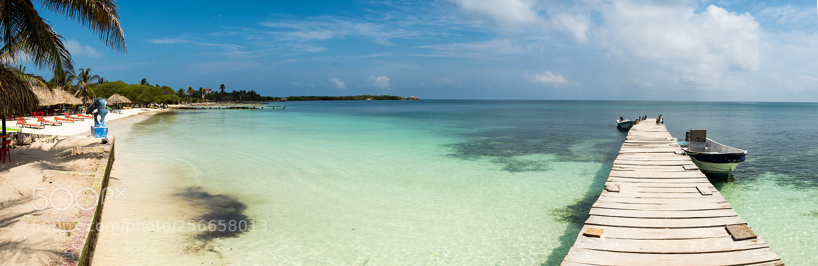 Olympus OM-D E-M1 Mark II sample photo. Time for a swim photography